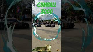 GUMBALL 3000 Rally 2024 [upl. by Araldo392]