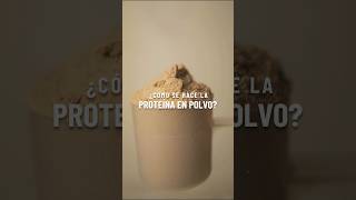 ¿Cómo se hace la proteína 😱proteina proteinaenpolvo deportesuplementos protein comosehace [upl. by Ardelia]