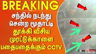 சந்தில் நடந்து சென்ற மூதாட்டி தூக்கி வீசிய காளை பதைபதைக்கும் சிசிடிவி [upl. by Einniw]