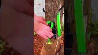 Climbing tall trees is easier with this tool [upl. by Bodi]