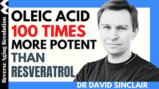 DAVID SINCLAIR “Oleic Acid 100 Times More Potent Than Resveratrol”Dr David Sinclair Interview Clips [upl. by Denman]