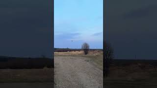 RC AIRPLANE CRASH [upl. by Puglia]