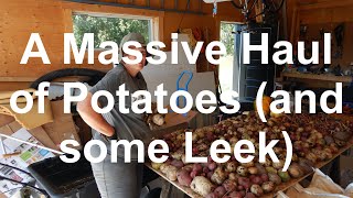 A Massive Haul of Potatoes and some Leek [upl. by Nosyt]