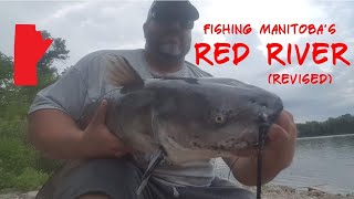 Fishing Red River Manitoba Breezy Point  Lockport  Floodway  Netley Creek [upl. by Ares]