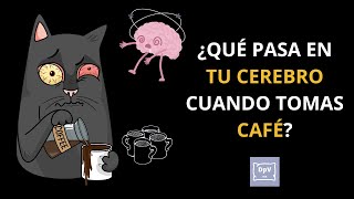 Ladrón de Sueño 2 La Cafeína  ¿Qué Pasa en Tu Cerebro Cuando Tomas Café [upl. by Araeic]