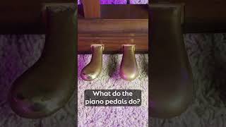 What are the 3 piano pedals for piano pianotips shorts [upl. by Abihsot]