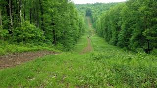 ATV and SXS ride Bruceton Mills area WV [upl. by Ahker]