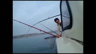 Gower Fishing Swansea [upl. by Hemphill]