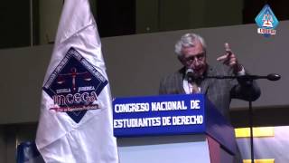 DR RAÚL FERRERO COSTA  DERECHO CONSTITUCIONAL [upl. by Azer]