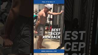 The Best triceps kickback workout corexcell gym [upl. by Pulsifer]