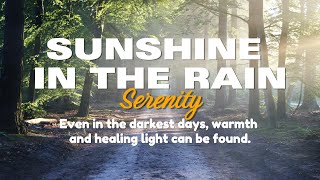 Soft Piano Music  Healing Tunes to Ease the Mind  Sunshine in the Rain [upl. by Burne]