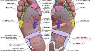 Reflexologia ¿Cuales son sus fundamentos [upl. by Thetisa282]