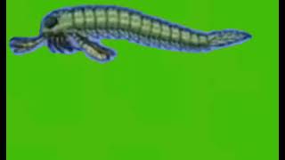 Anomalocaris  Titanes  Sea Scorpion And Orthocenas Green Screen For Whiteykit1423 [upl. by Eleonore]