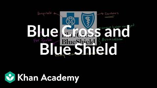 Blue Cross and Blue Shield  Health care system  Heatlh amp Medicine  Khan Academy [upl. by Eltotsira]