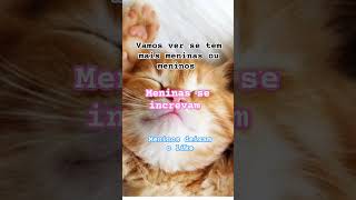 music remix memes musica humor euseiquevaiflopar comodesfloparseucanalhey shorts [upl. by Moran]