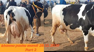 khanna pashu mandi। 28122020 Part 2 cow and Buffalo special jbs video। [upl. by Atikihc]