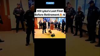 K9 Lykas Last Find Before Retirement 👈❤️ [upl. by Aicenert]