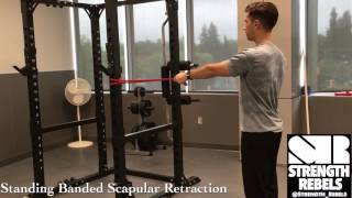 Standing Banded Scapular Retraction Strength Rebels [upl. by Reamonn]