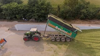 BIG Packing of Shredlage Corn for a BIG Dairy Farm  Gruppo PEA [upl. by Francisco999]