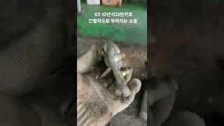 K5 10년식25만키로비포장도로 많이주행하는차량로어암볼 유격발생부싱상태괜찮아서 볼만주문해서 작업해드림K5 하체수리 하부소음 로어암 [upl. by Aymer172]