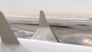 Gol Transportes Aéreos Flight 1907  Crash Animation [upl. by Chandra]