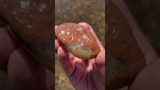 Finding a BEAUTIFUL Lake Superior Agate shorts [upl. by Kamal411]