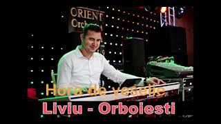 Hora de veselie la ras la Ilie Liviu de la Orboiesti live in 2013 hora de joc [upl. by Solis]