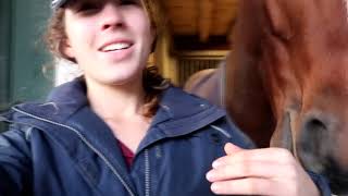 Barn Vlog Rescue Ponies UpdateFirst Time Saddling [upl. by Schechinger]