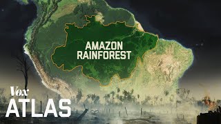 The destruction of the Amazon explained [upl. by Aveneg213]