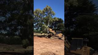 Caterpillar 963 traxcavator drott caterpillar excavator construction dozers tracked gumtree [upl. by Zolly]