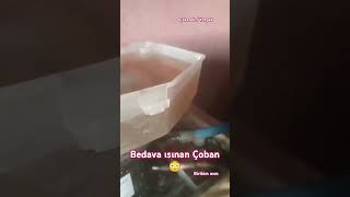 Bedava ısınan Çoban 😳 [upl. by Aracaj]