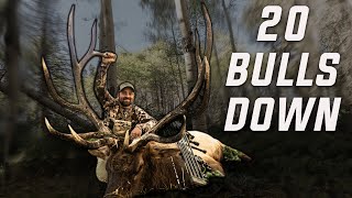 Best Of quotArchery Elk Huntingquot Compilation  Elk Week 2023 [upl. by Ydnik957]