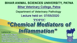 quotChemical Mediators of Inflammationquot by Dr Sanjiv Kumar Dept of Pathology BVC [upl. by Lam]