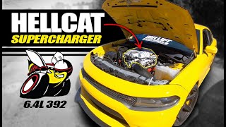 Are You Sure You Want a Charger SCATPACK 392 WATCH THIS BEFORE YOU BUY [upl. by Ycnaf713]