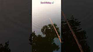 Village hook fishing 🎣 md007 phonk remix shorts youtubeshorts shortvideo viralvideo fish [upl. by Lerraf]