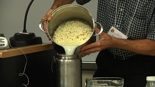 How to Make Mozzarella Cheese at Home [upl. by Grussing]