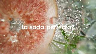 Hacé tu Soda Perfecta  SodaStream Argentina [upl. by Glennon]