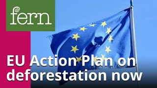 We need an EU Action Plan on deforestation now [upl. by Ittak863]