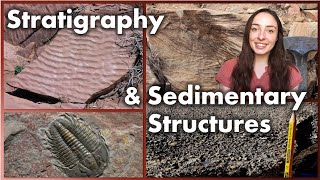 Stratigraphy and Sedimentary Structures  GEO GIRL [upl. by Htrag]