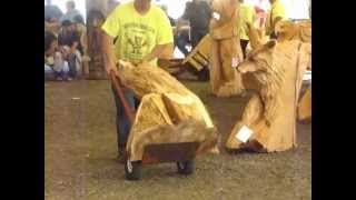 This is it The Reedsport OR 13th annual Chain Saw Carving Competition [upl. by Holofernes]