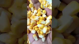 kya ap jante hai bhutta khane ke fayde 🙂 corn khane ke fayde shorts sweeetcorn bhuttekefayde [upl. by Rehotsirk]