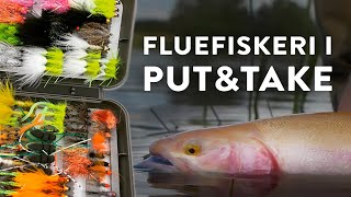 FLUEFISKERI I PUTampTAKE  Fang flere fisk i ørredsøen [upl. by Ball]