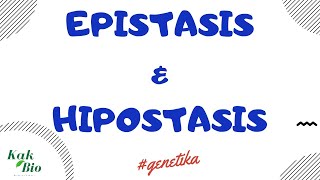 Persilangan Epistasis amp Hipostasis  Penyimpangan Hukum Mendell [upl. by Nod945]