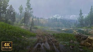 Relaxing Walk in the Rain at Riverside and Nature Sounds for Sleep and Relaxation  4K ASMR RDR 2 [upl. by Guilbert]