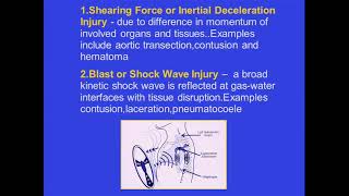 Blunt and Penetrating Thoracic Trauma by Dr Robert M Steiner [upl. by Trager981]