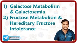 1 Galactose Metabolism amp Galactosemia 2 Fructose Metabolism amp Hereditary Fructose Intolerance [upl. by Pokorny]