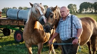 Krauses Zukunft  Komödie Ganzer Film Deutsch [upl. by Reid924]