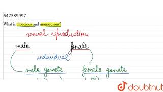 What is dioecious and monoecious  11  General doubts  BIOLOGY  LECTURE NOTES CREATED QUESTI [upl. by Aihsenrad]