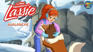 The New Adventures of Lassie  Avalance  Cartoon Series  PowerKidsWorld [upl. by Suiram]