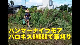 【ハンマーナイフモアで草刈り】ハンマーナイフモアで草刈り②BARONESSバロネスＨＭＢ８０ で耕作放棄の草刈りしました Shorts [upl. by Lrad]